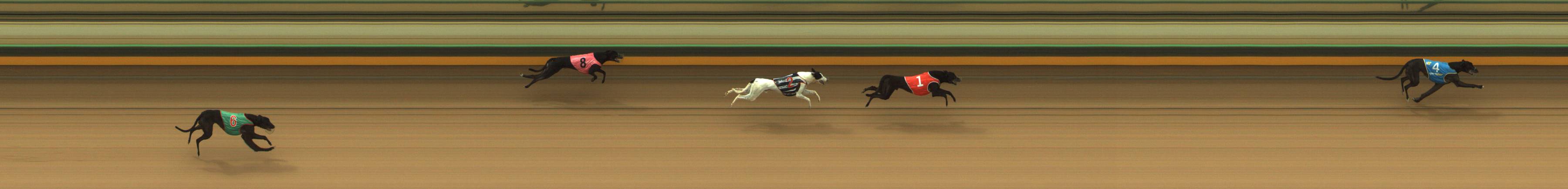 Race result finish photo